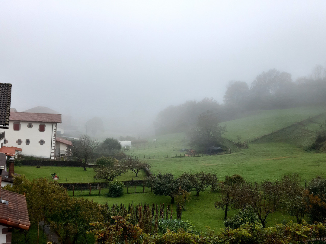 Hotel Palacio Borda主图