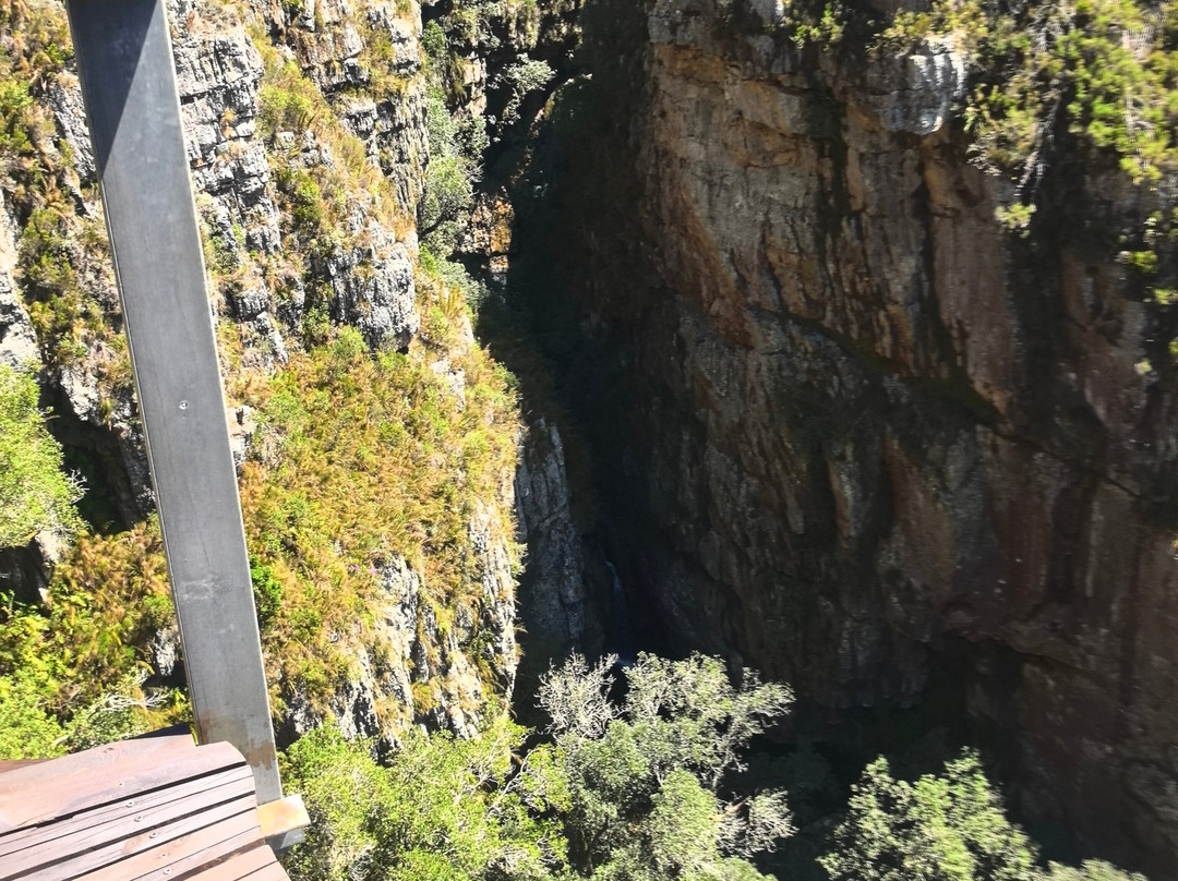 Cape Canopy Tour景点图片