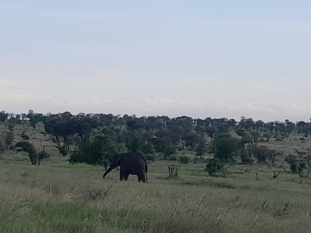 Endasing Adventures-卡拉图必去景点