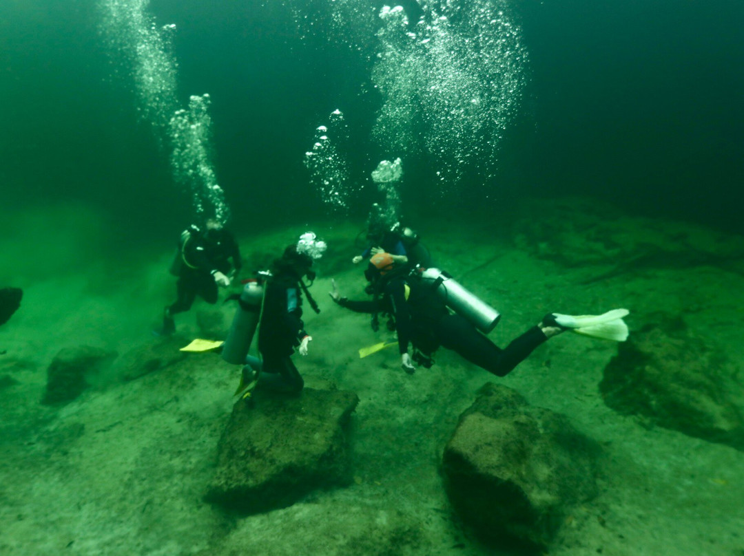 Diving Cenotes Tulum景点图片