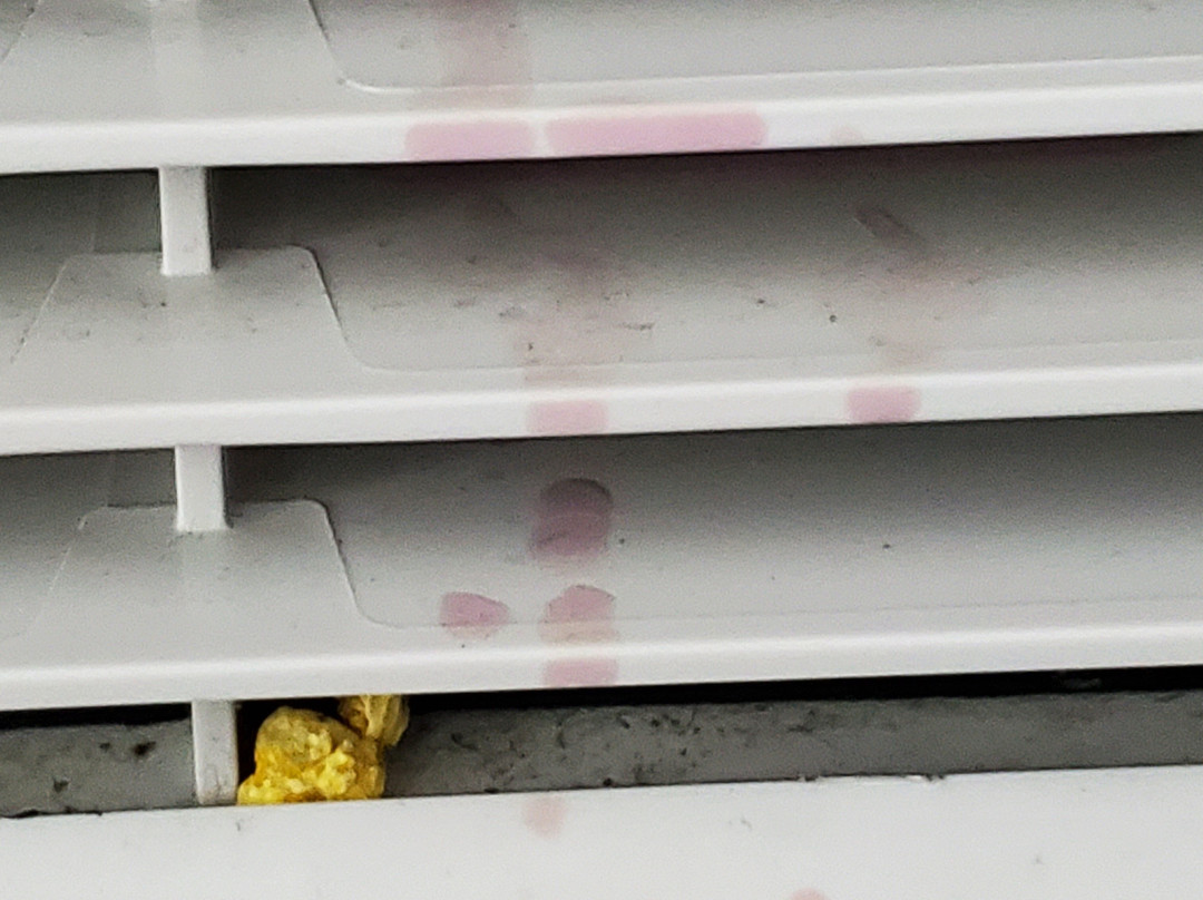 Quality Inn & Suites主图