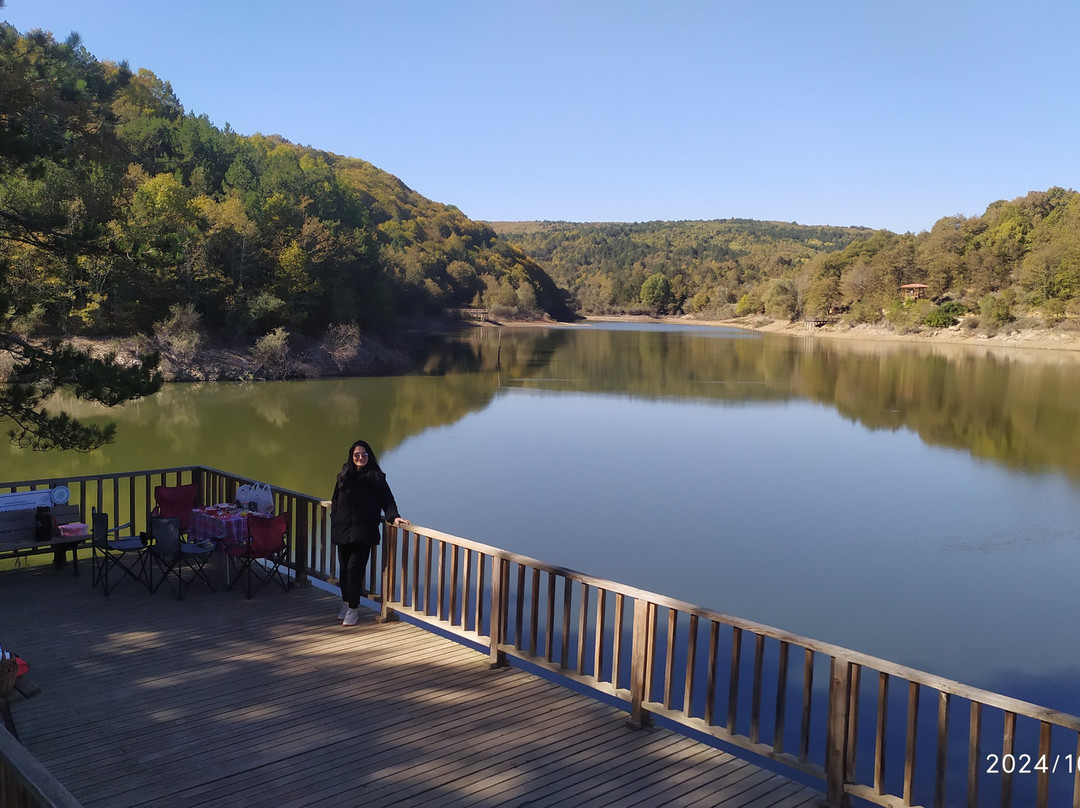 Kucukelmali Tabiat Parki景点图片