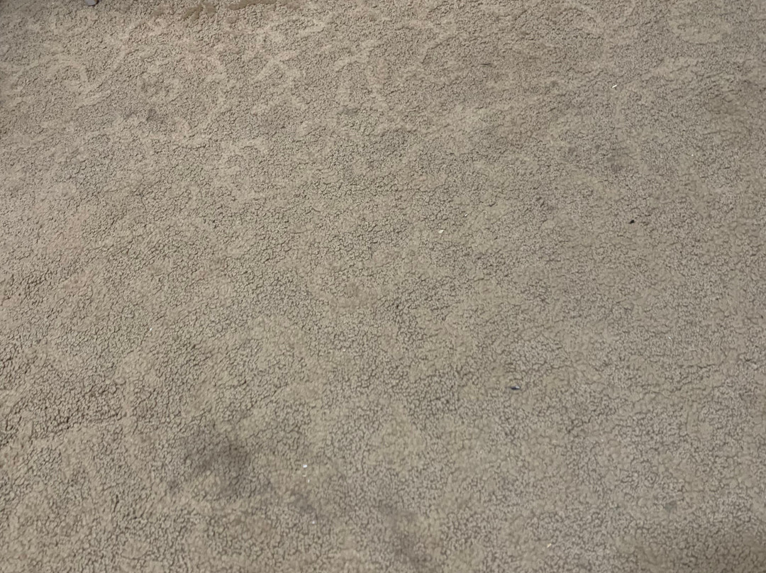 Tombstone Bordello主图