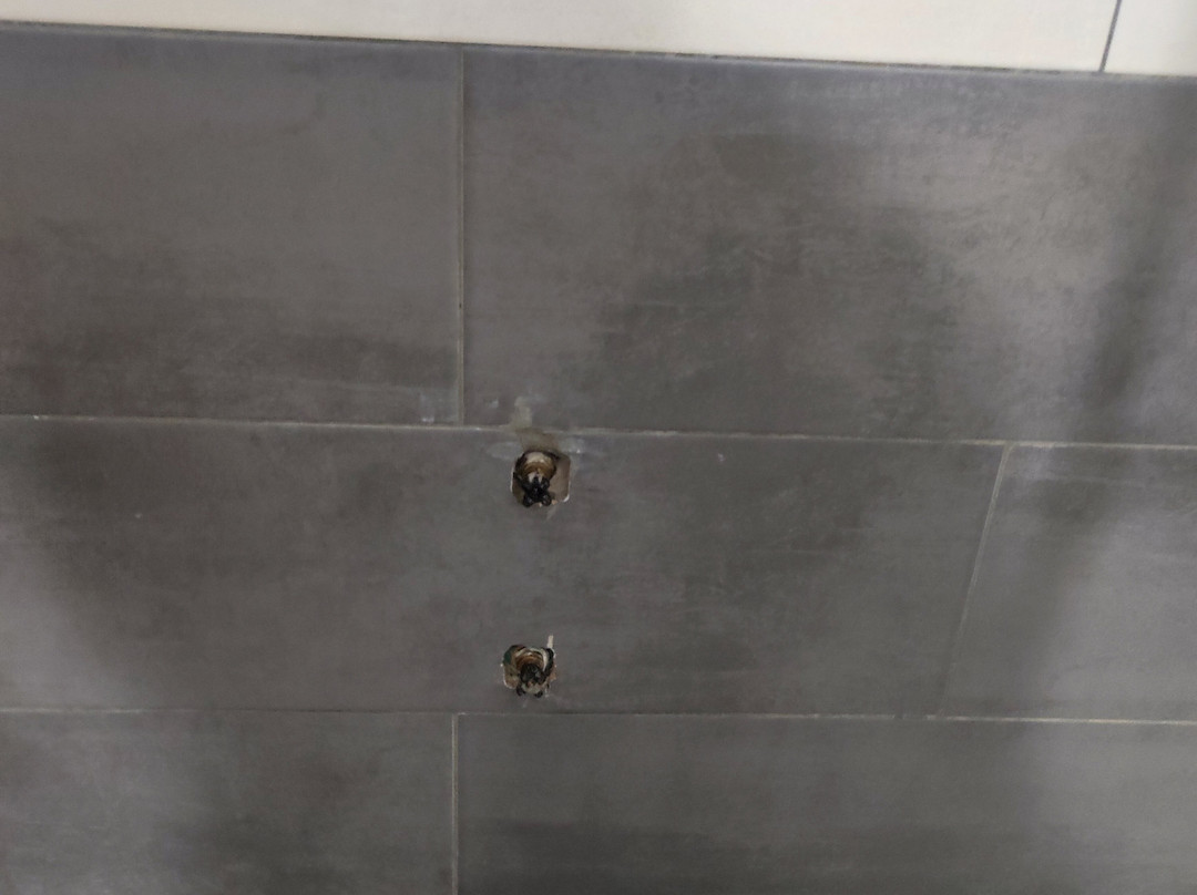 Habitat Luxury Suites主图