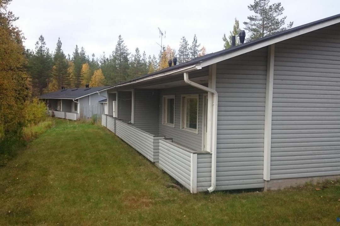 Kotipaljakka