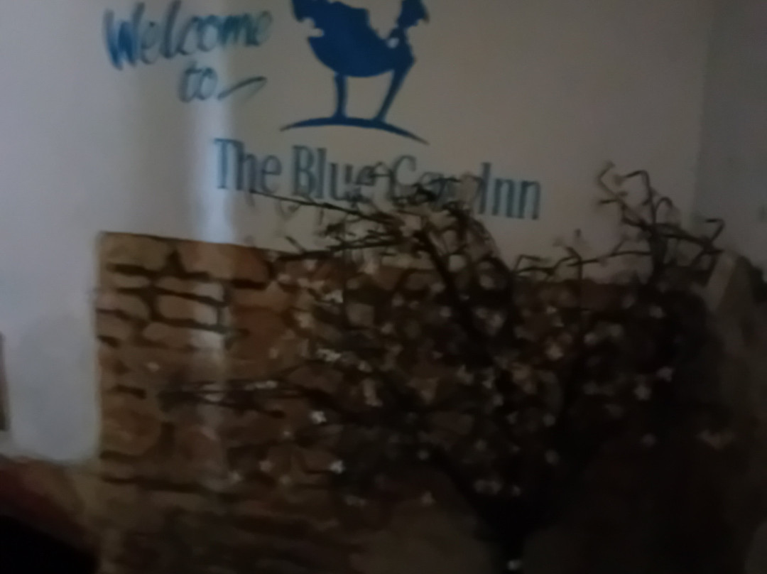 The Blue Cow Inn主图
