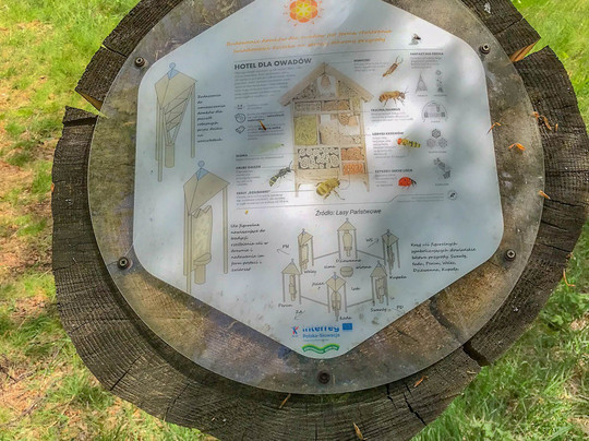 Pszczela Hala-Porabka必去景点