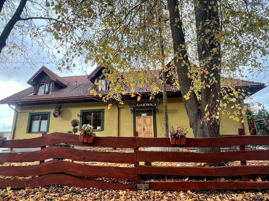 Witamy w Zajeździe Gajówka
