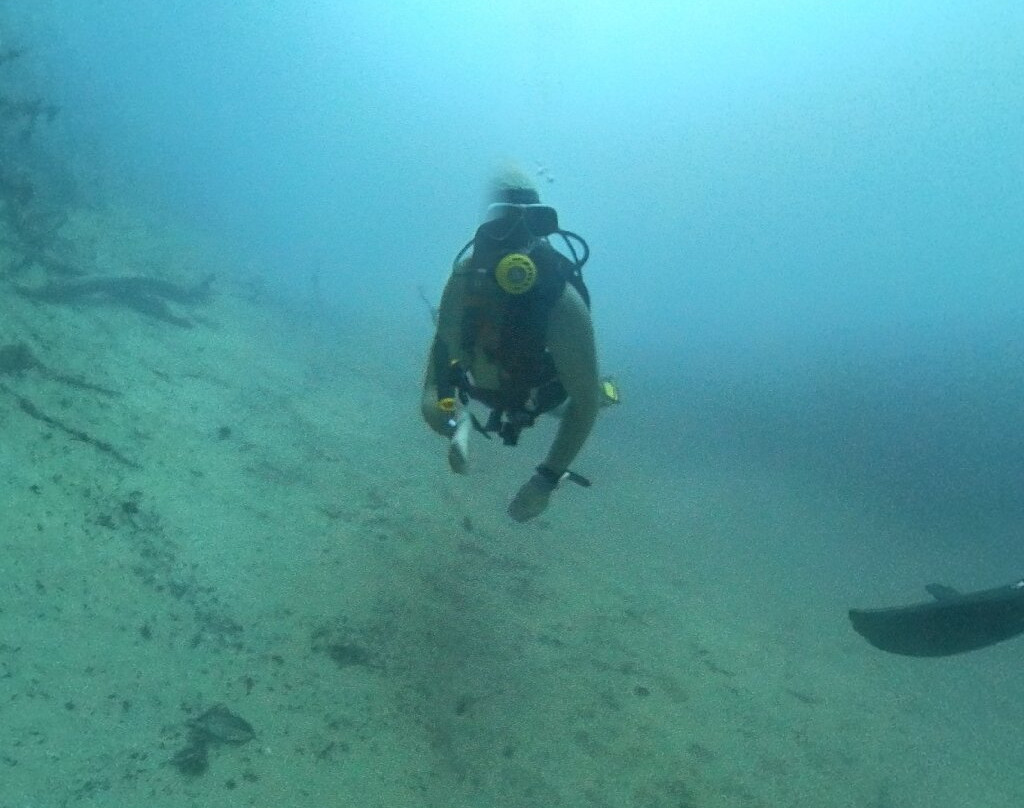Coron Sanho Dive Center景点图片