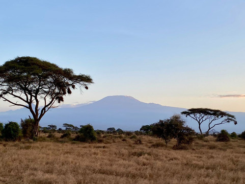 BUSH MOSAIC SAFARIS-内罗毕必去景点