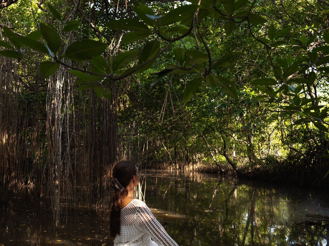 红树林渡假酒店主图