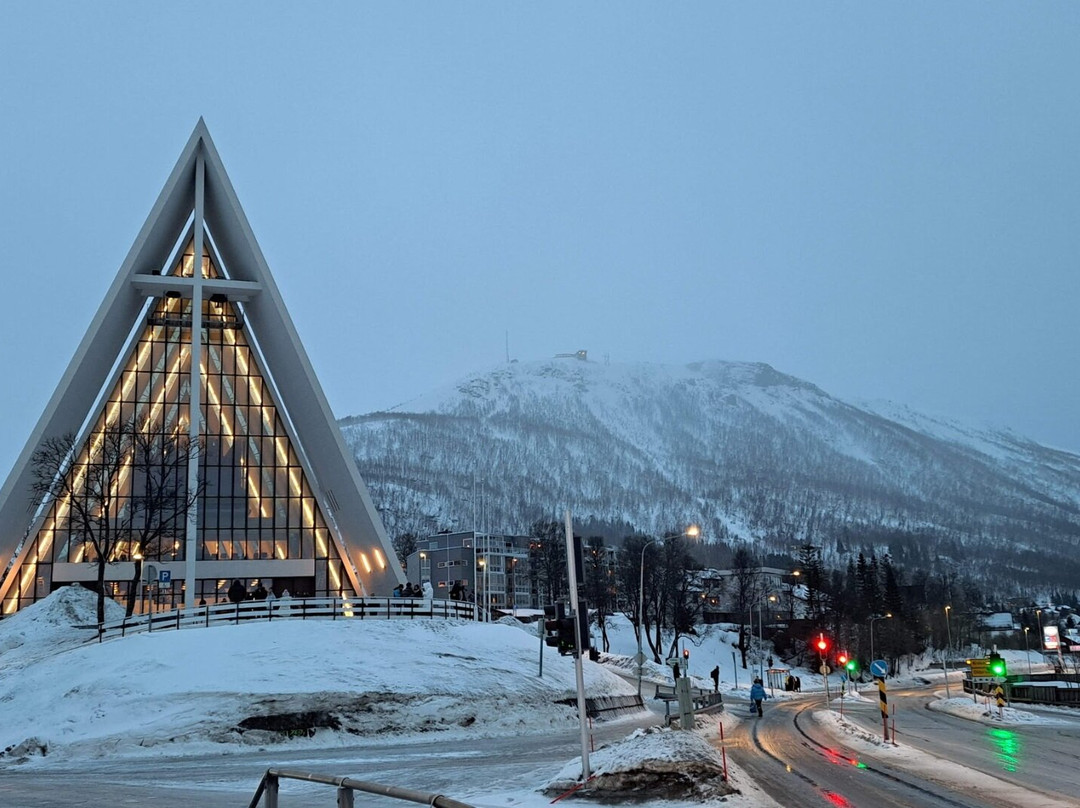 Tromso Ice Domes景点图片