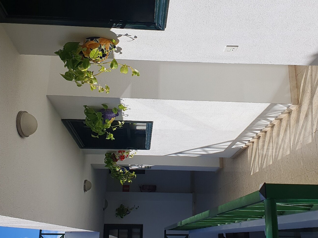 Apartamentos Los Marinos主图