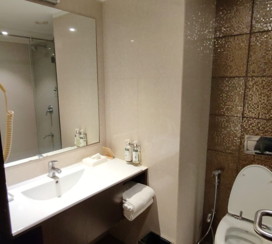 Effotel by Sayaji Indore主图