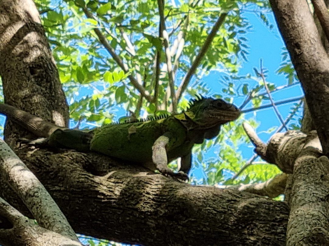 Bon Bagay-La Trinite必去景点