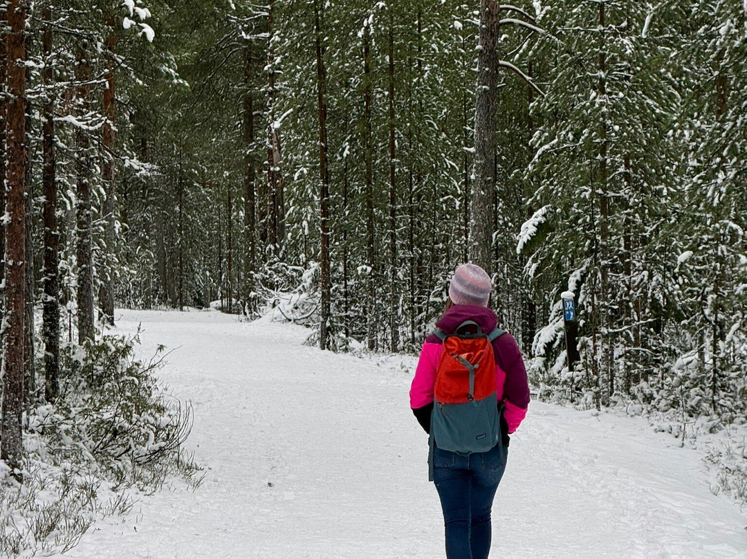 Ounasvaara Winter Trail-罗瓦涅米必去景点