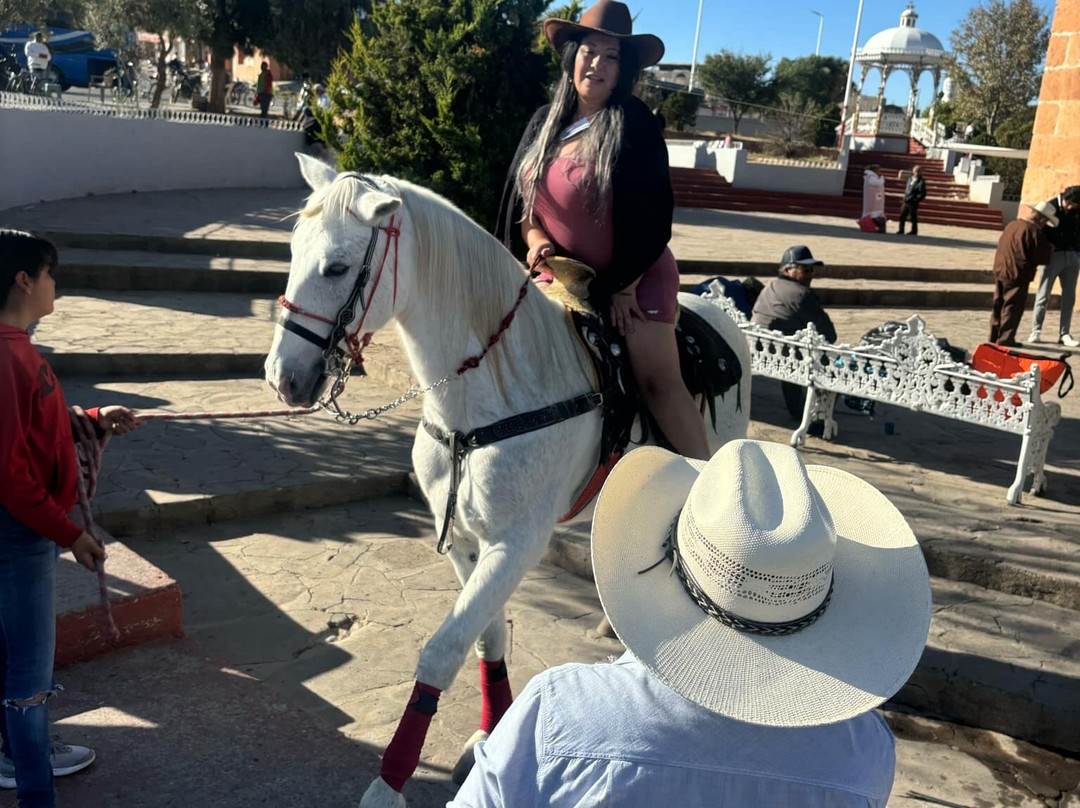 Santuario de Plateros-Fresnillo必去景点