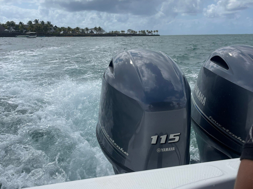 Dodo Spirit-大湾必去景点