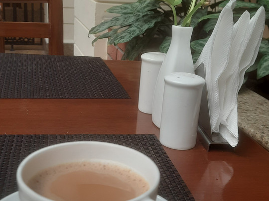 萨沃伊套房主图