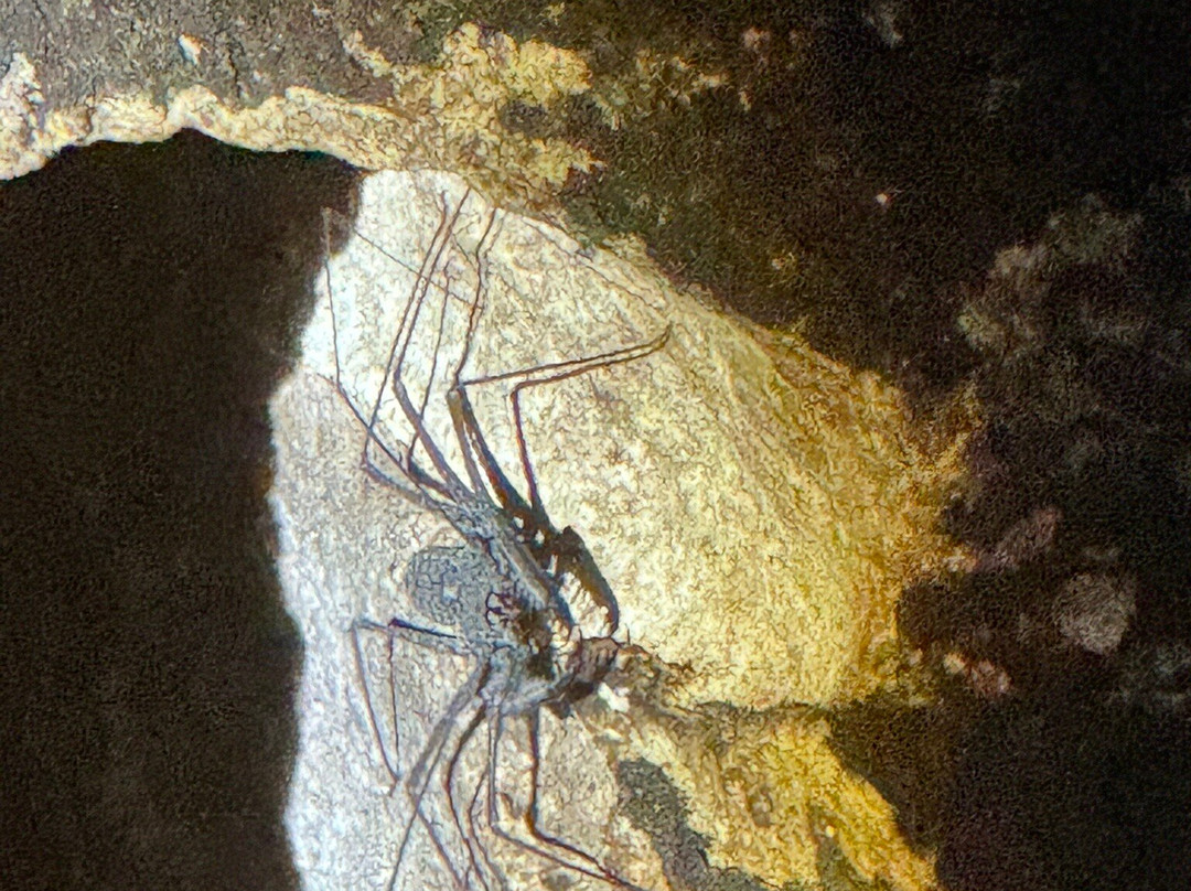 Cueva Ventana-阿雷西沃必去景点