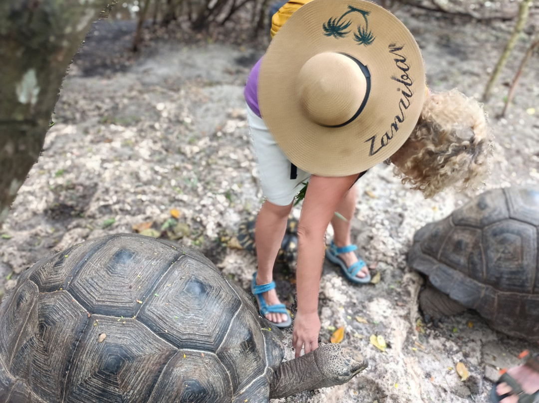Zanzibar Kilosas Conservation-孥归必去景点