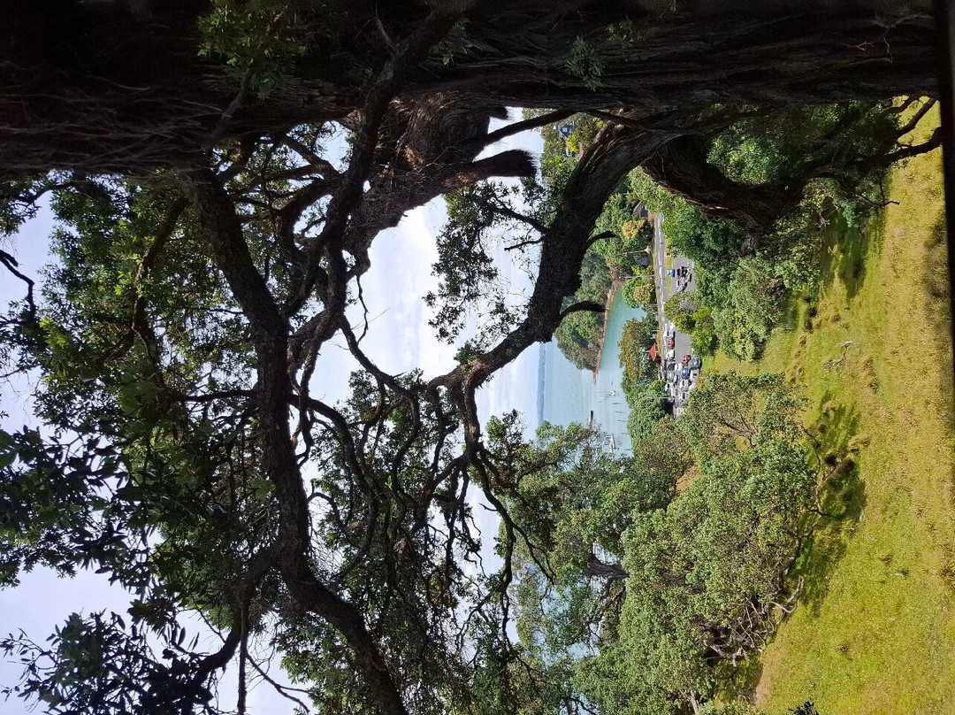 Kennedy Point Vineyard-Surfdale必去景点