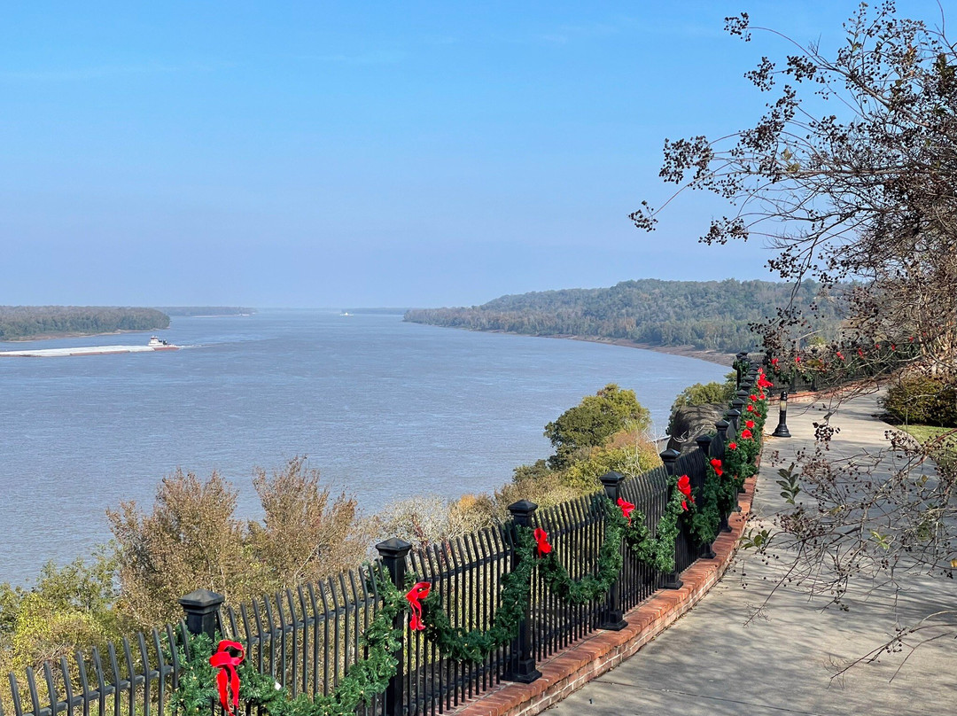 Natchez Museum of African American History and Culture景点图片