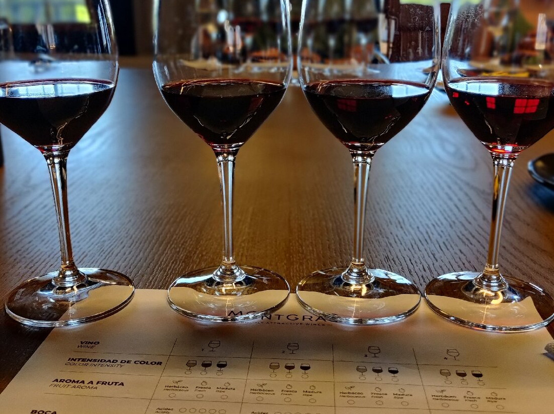 MontGras-Palmilla必去景点