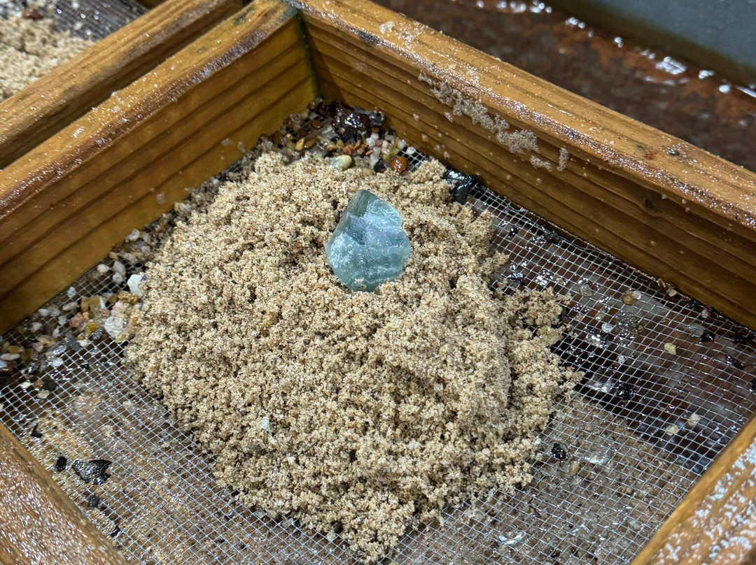 Crisson Gold Mine-达洛尼加必去景点