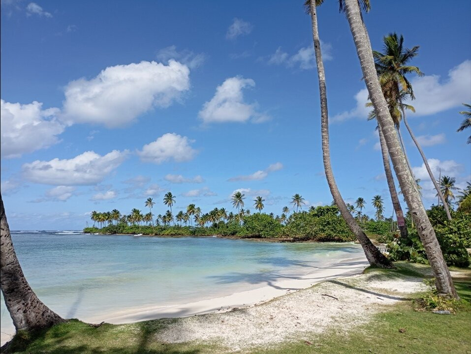 Playa Aserradero景点图片