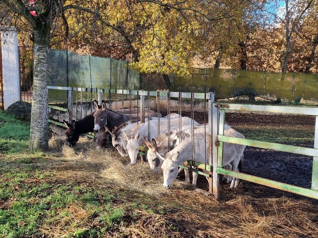 Locanda Dell'Asino D'Oro主图