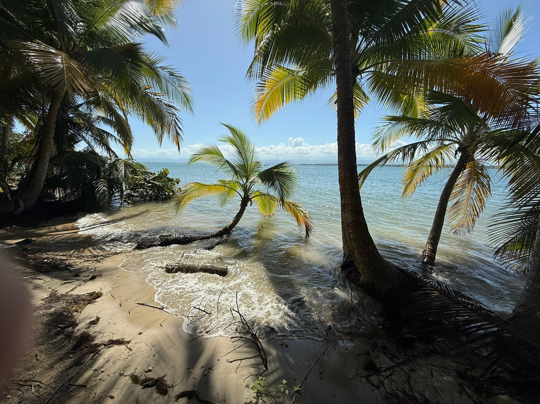 Starfish Beach景点图片