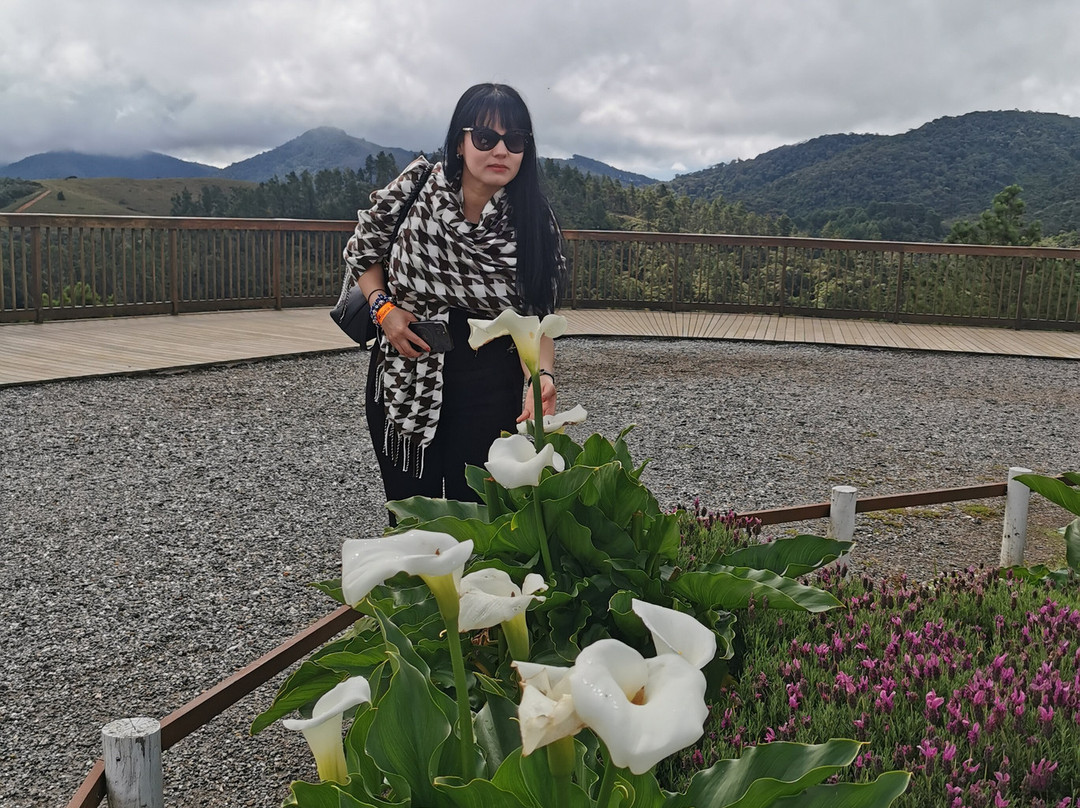 Parque do Itapeva-Pindamonhangaba必去景点