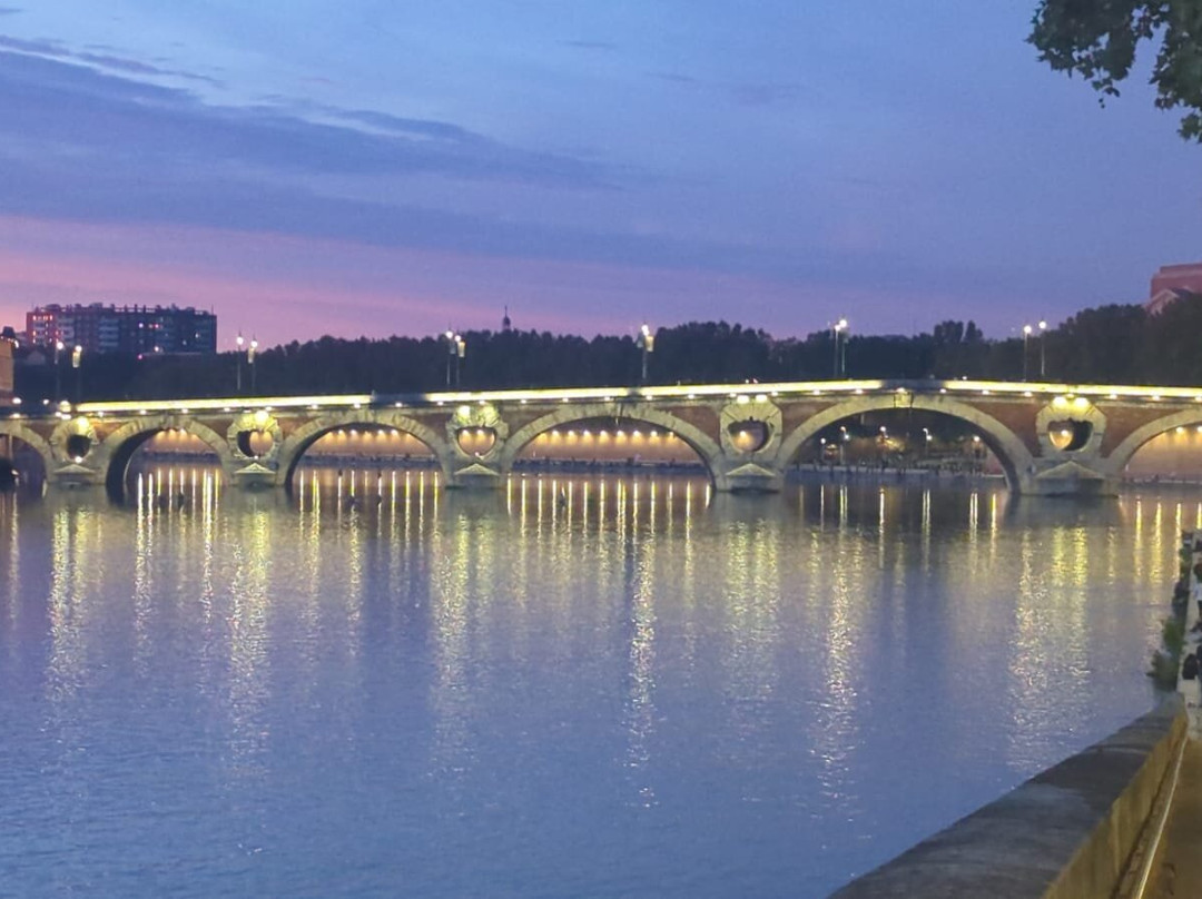 Pont Neuf Toulouse-图卢兹必去景点