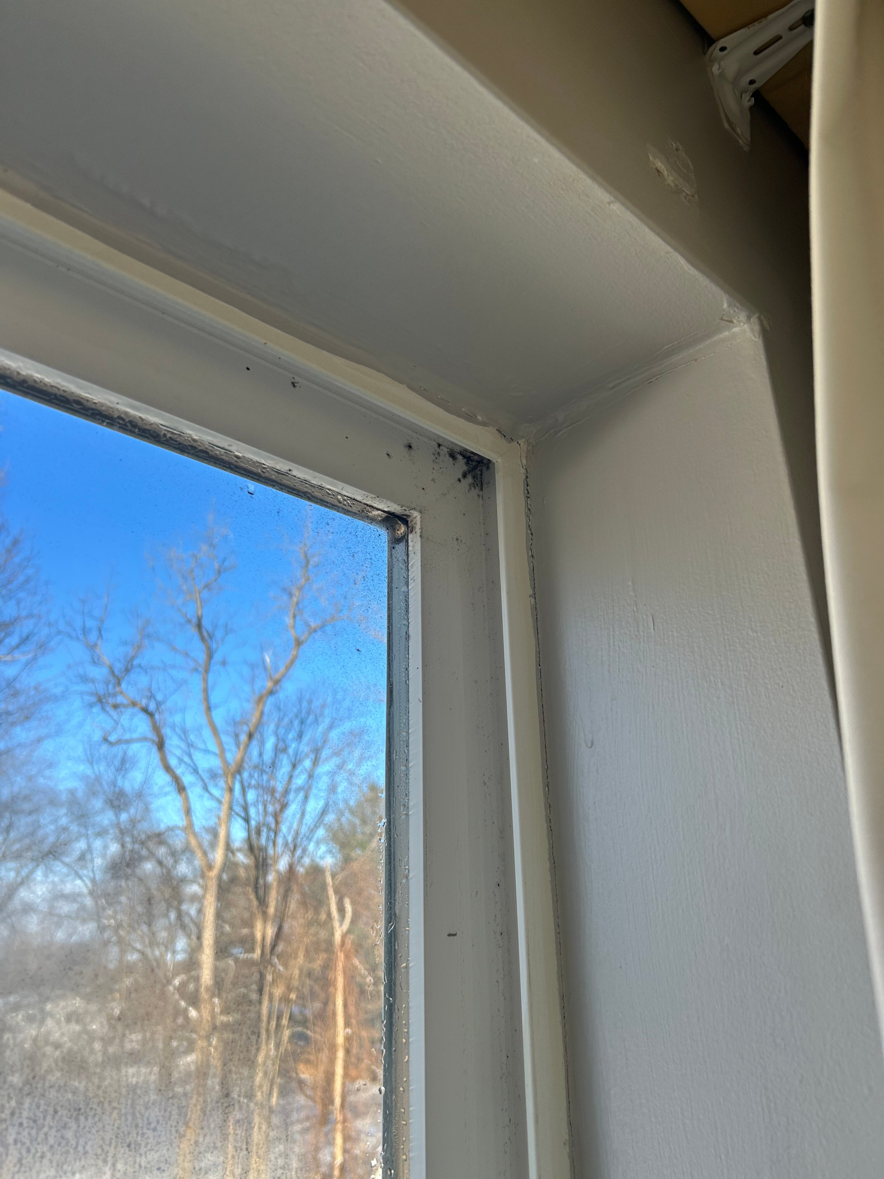 Country Inn & Suites by Radisson, Birch Run-Frankenmuth, MI-客卧