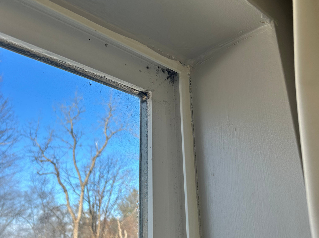 Country Inn & Suites by Radisson, Birch Run-Frankenmuth, MI主图