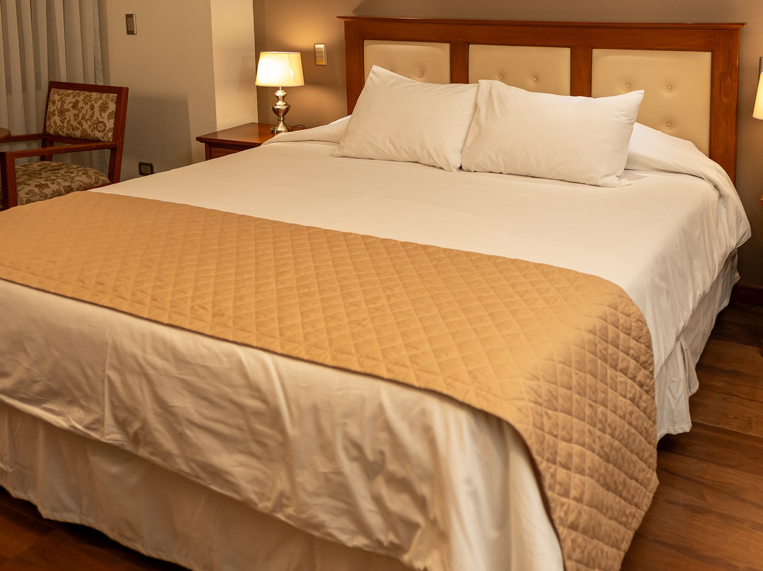 Toloma Gran Hotel主图