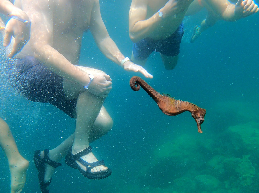 Acqua Jungle Ilha Grande-Vila do Abraao必去景点