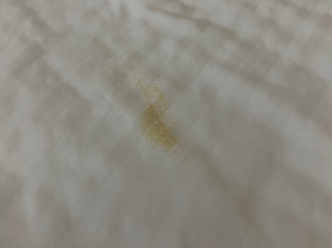 La Quinta Inn & Suites by Wyndham Florence主图