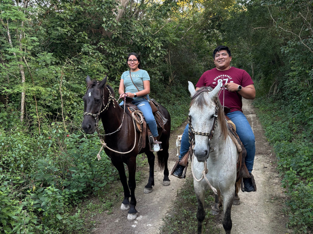 Rancho Kuxtal-Tizimin必去景点