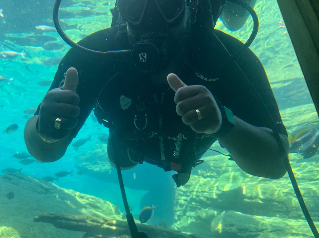 Umhlanga Scuba景点图片