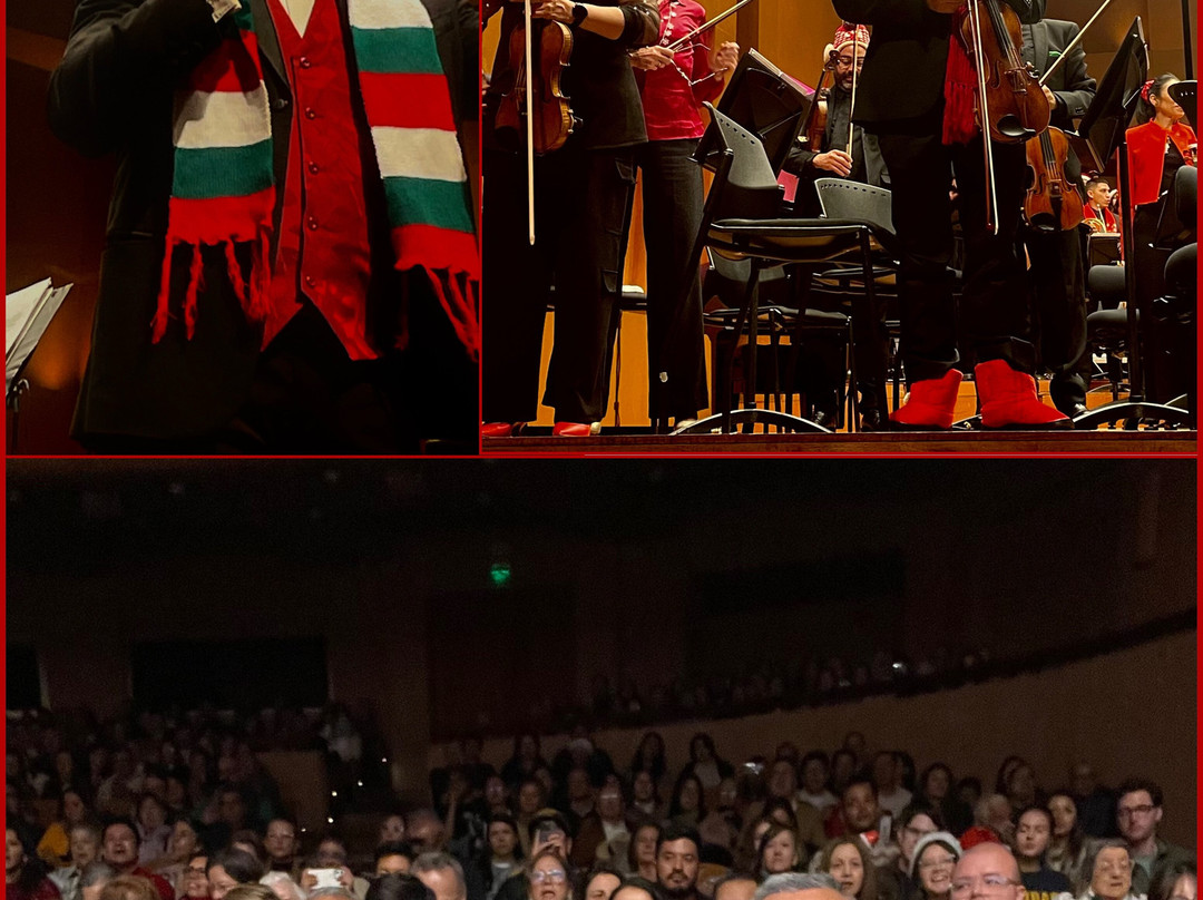 Teatro Mayor Julio Mario Santo Domingo-波哥大必去景点