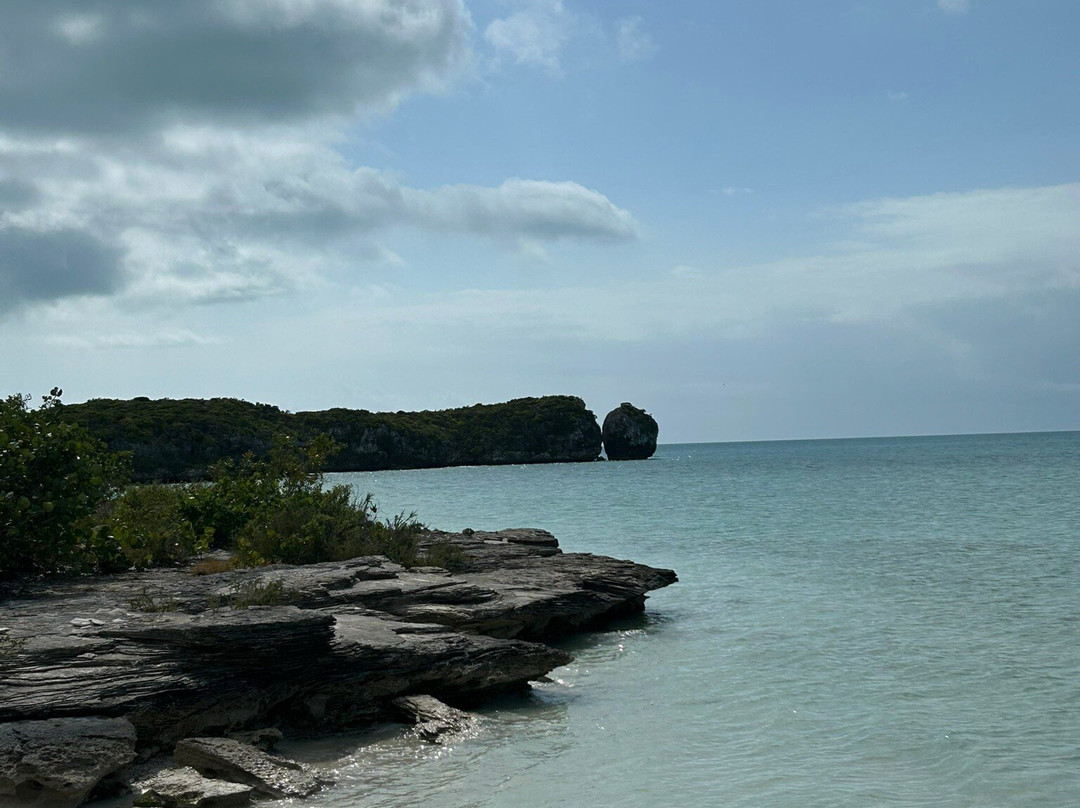 Bonefish Point-普罗维登西亚莱斯必去景点