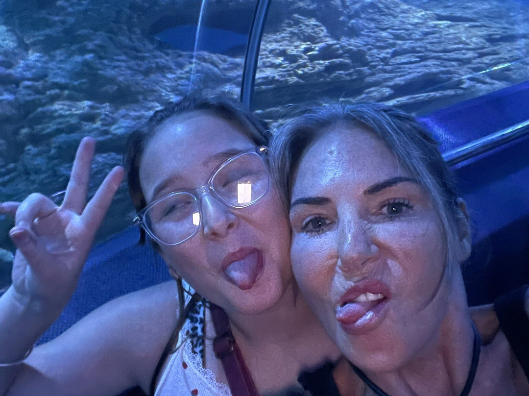 AQWA The Aquarium Of Western Australia-拉瑞斯必去景点