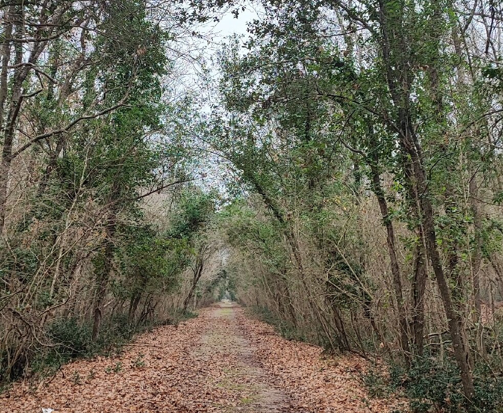 Parco Nazionale Del Circeo景点图片