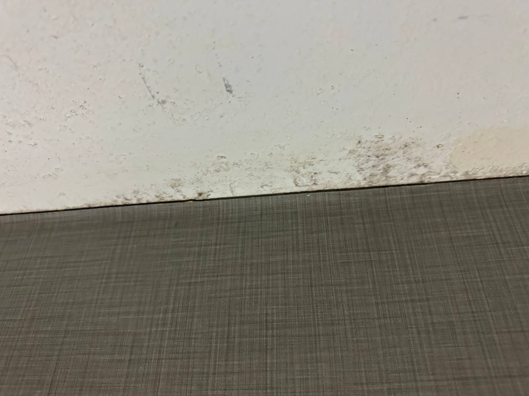 Wingate by Wyndham Bridgeport主图