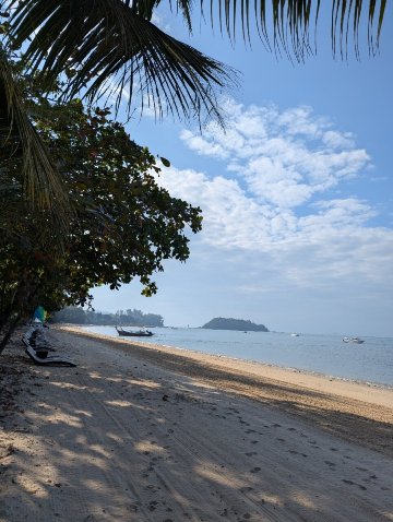 Z-Talay House-官方