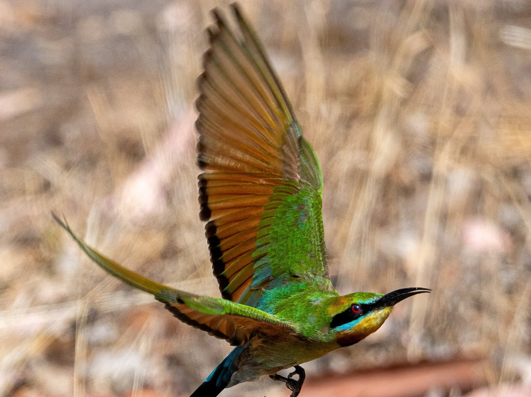 Adventure Art Photography-汉道夫德国村必去景点