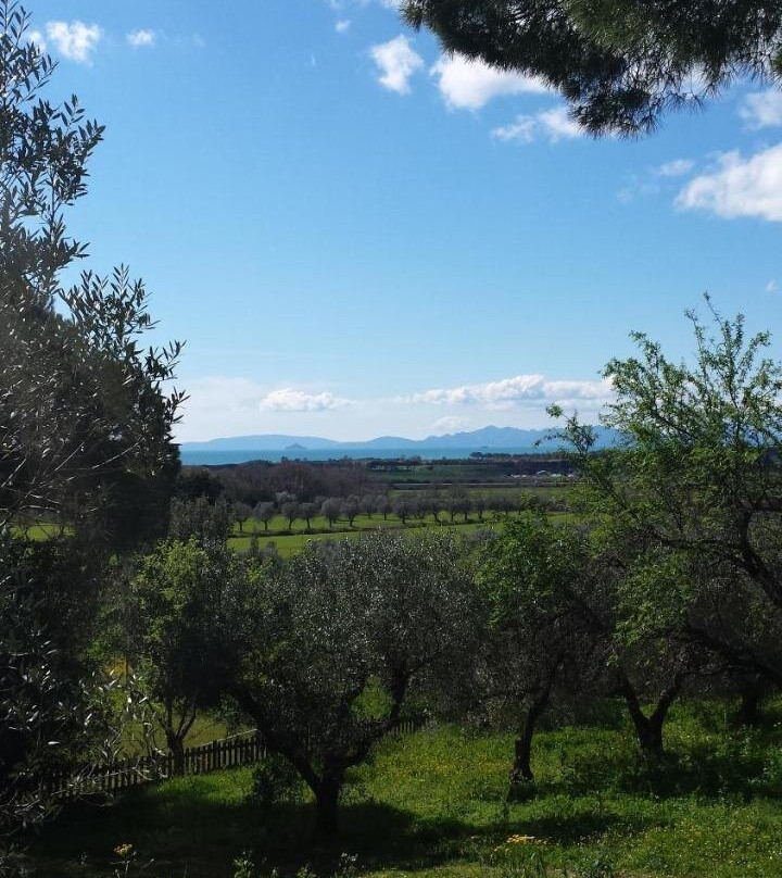 Agriturismo Tenuta di Vignale