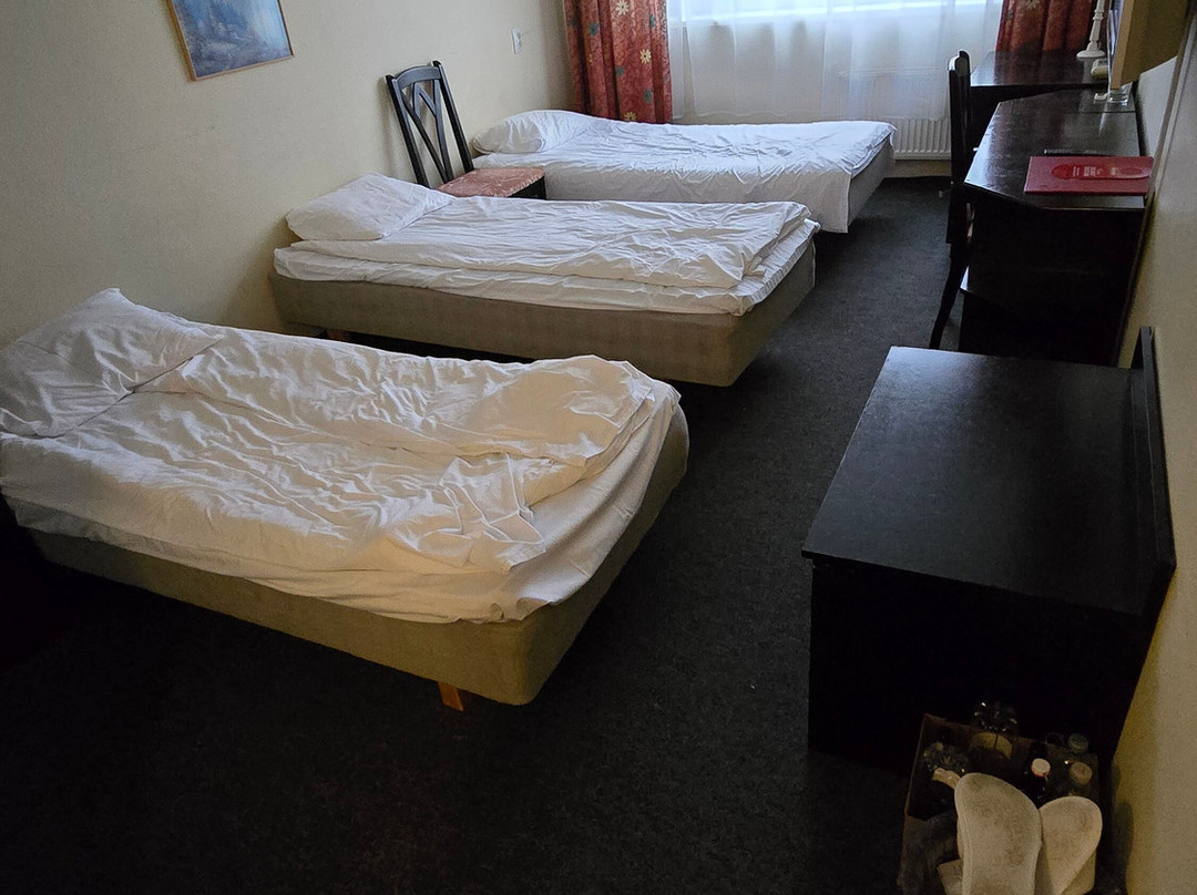 Hotell Dzingel主图